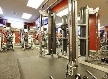 Modern Cardio & Strength Training Center